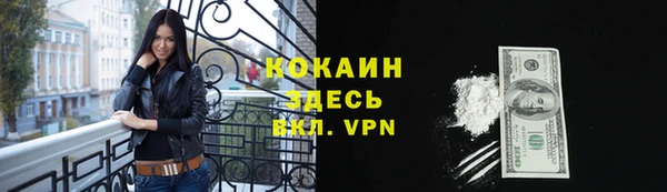 бошки Няндома