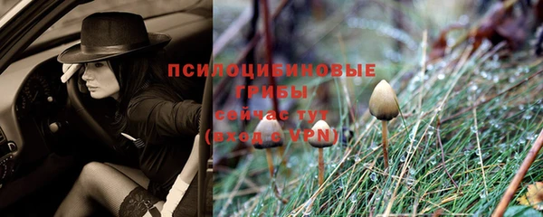 соль курить ск Нягань
